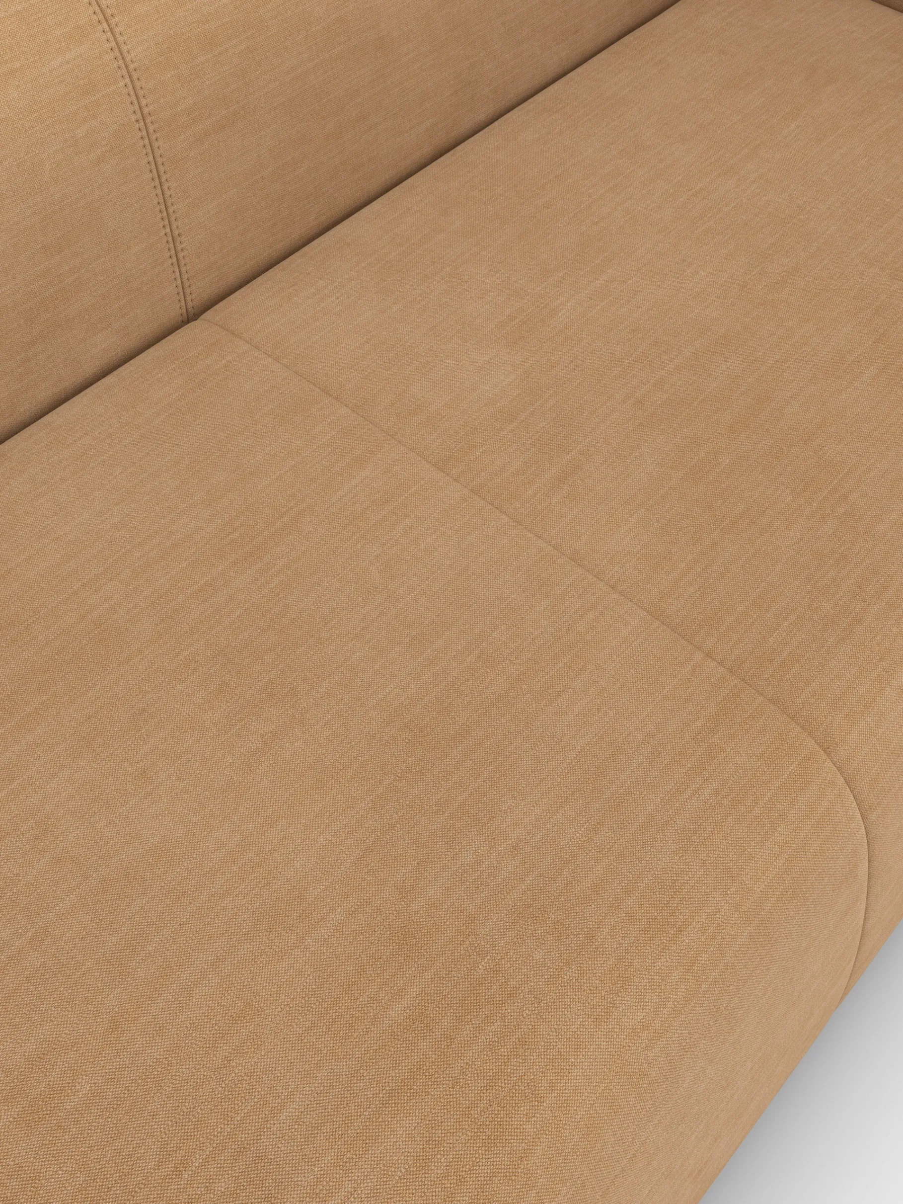 Plump 2.5-Seater Fixed Sofa