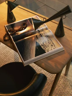 Pose Task Light