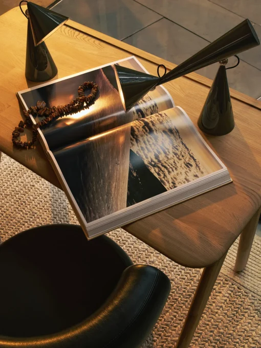 Pose Task Light